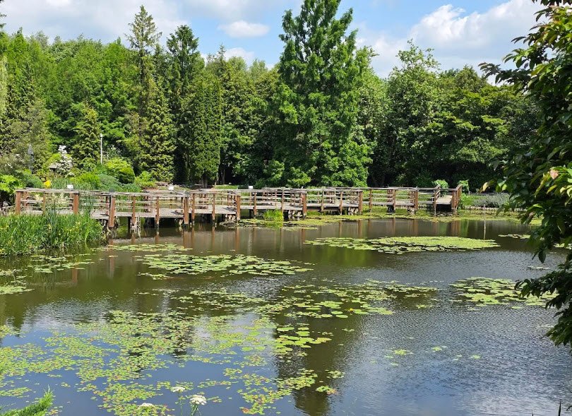 Arboretum Bolestraszyce, Poland